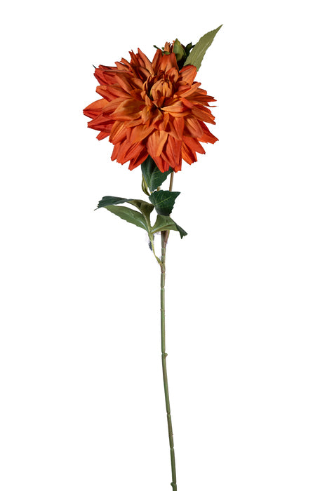 Dalia arancio spray