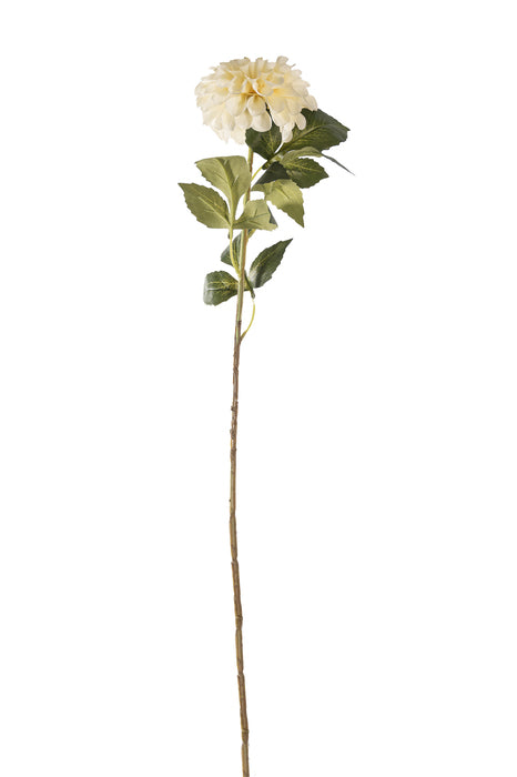 Fiore zinnia avorio