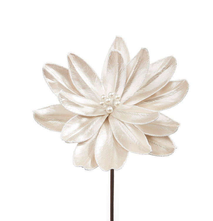 IL GIARDINO DELLE FATE- MAGNOLIA BIANCA