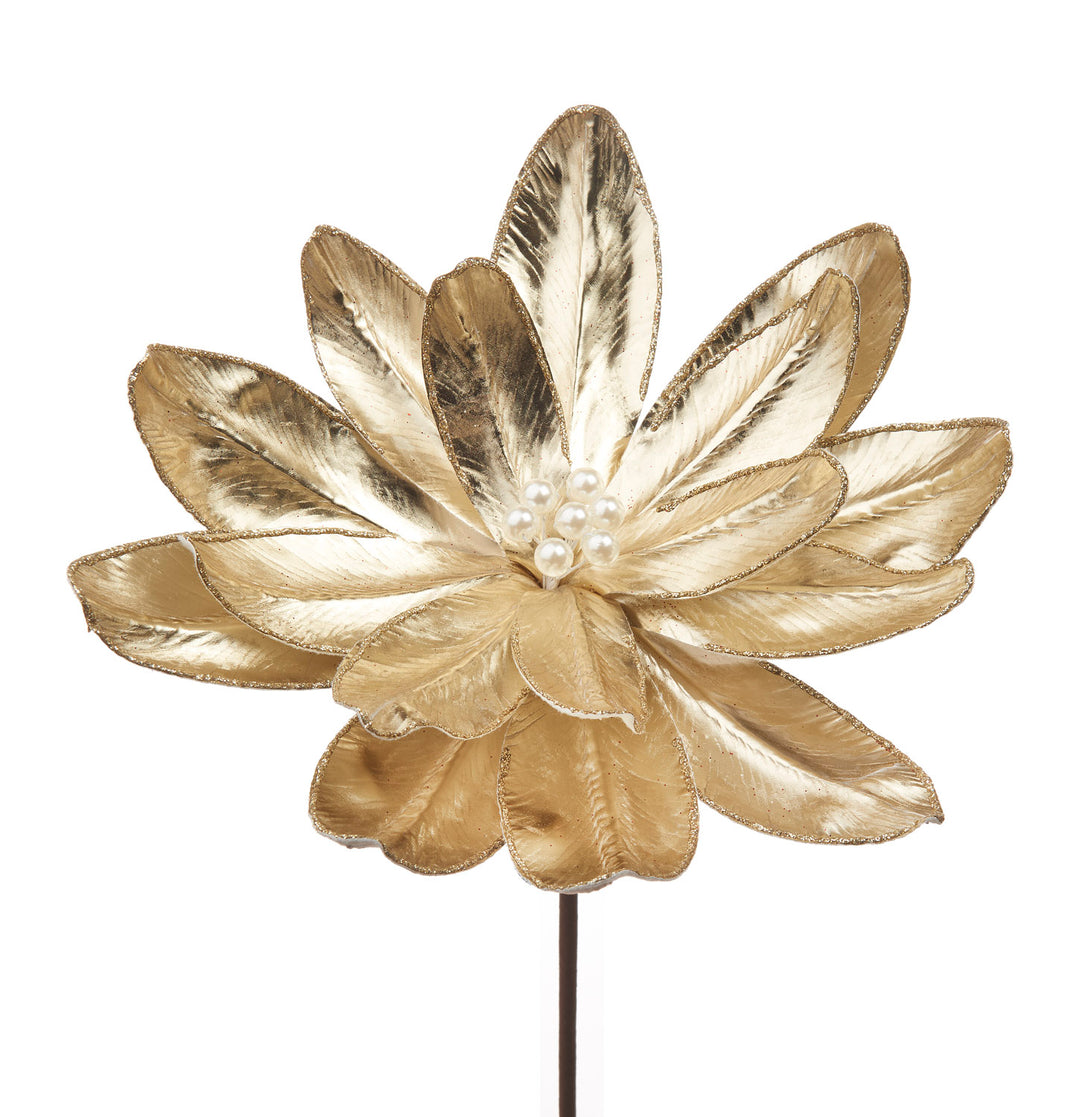 IL GIARDINO DELLE FATE- MAGNOLIA ORO