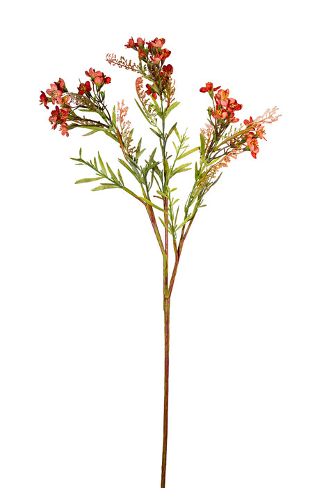 Ramo di fiorì arancio