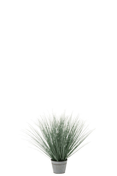 ERBA CON VASO