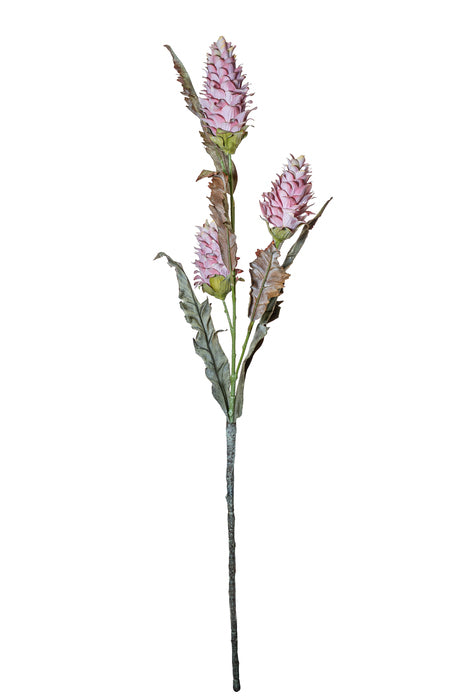 Ramo selvatico malva