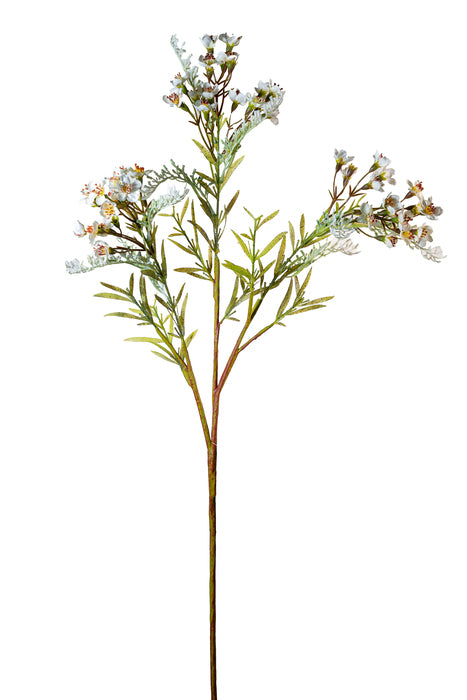 Ramo di fiori bianco