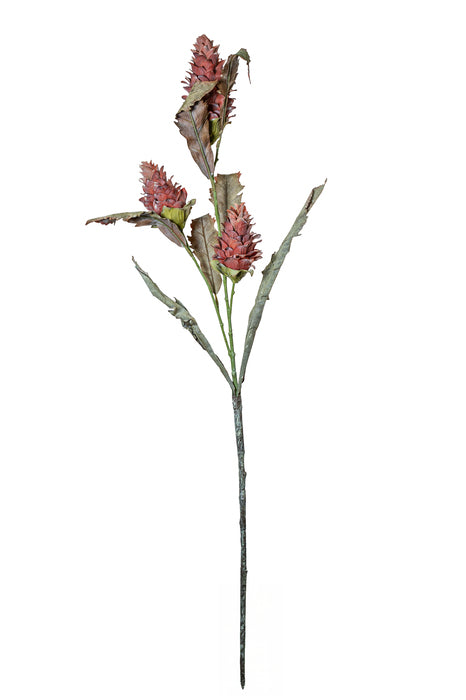 Fiore selvatico dalla nuance marrone