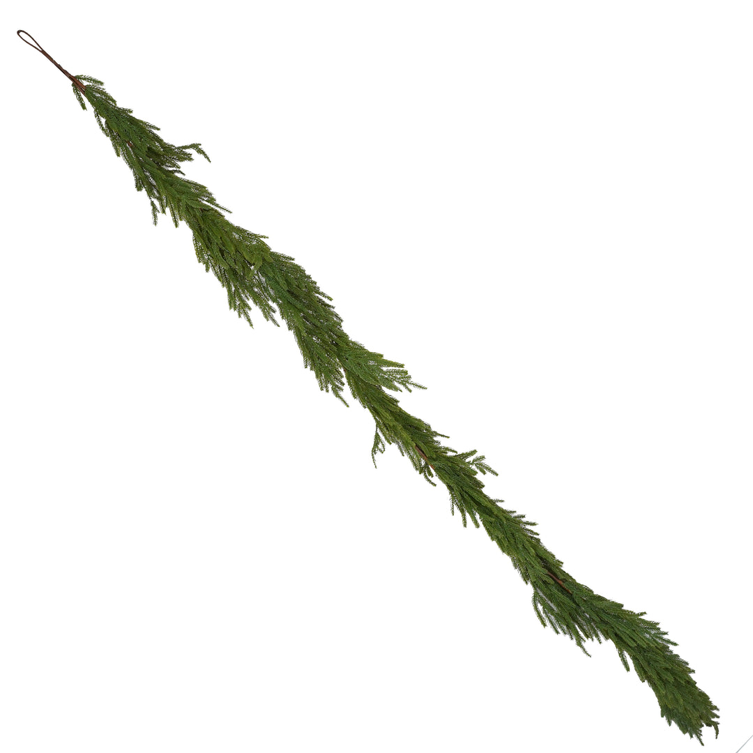 TRALCIO PINO VERDE