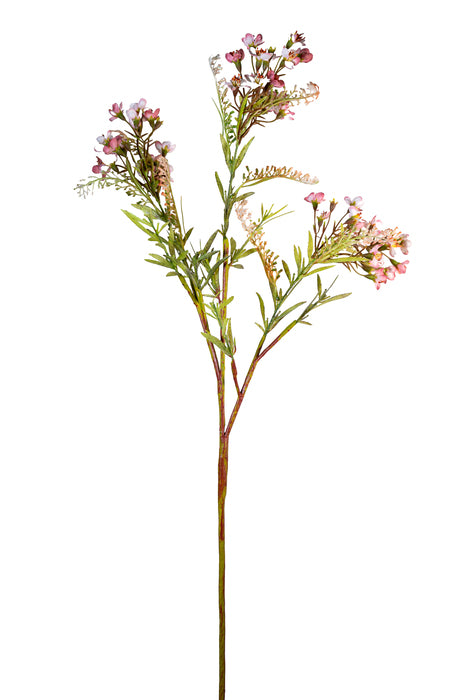 Ramo di fiori rosa