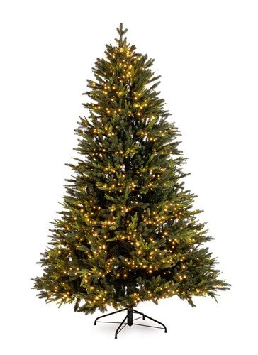 ALBERO BERKSHIRE (diam.114x180h)