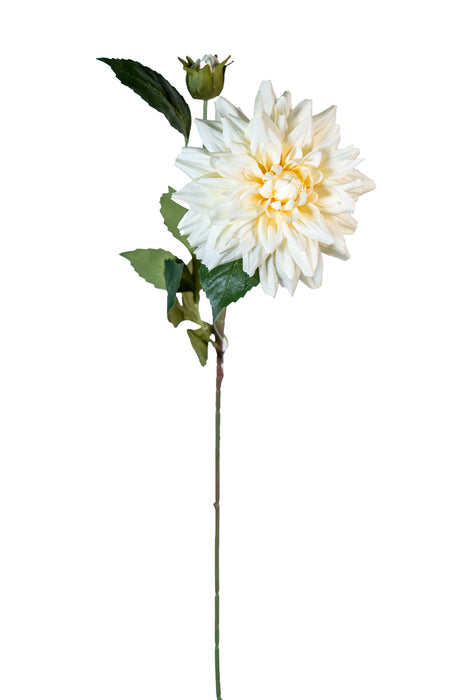 Dalia avorio spray