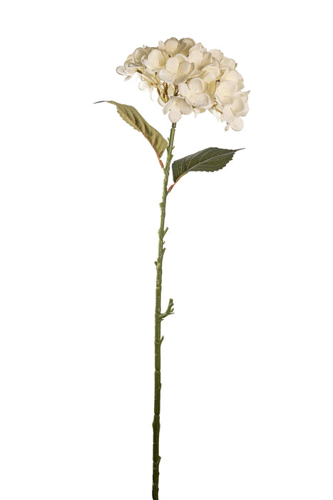 Fiore ortensia avorio