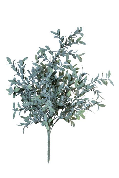 Cespuglio di bosco