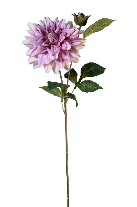 Dalia malva spray