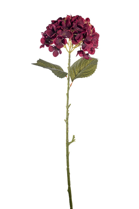 Fiore ortensia viola