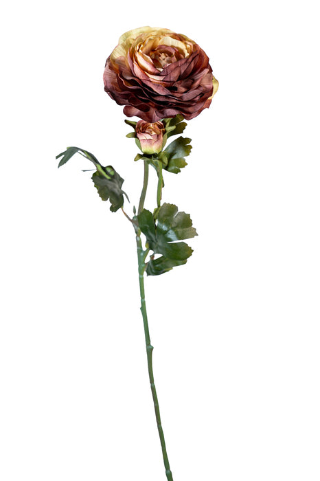 Ranuncolo rosa vintage