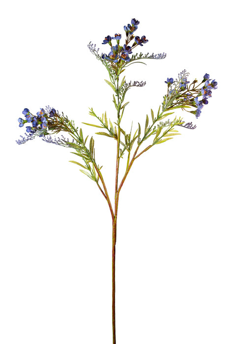 Ramo con fiori lilla