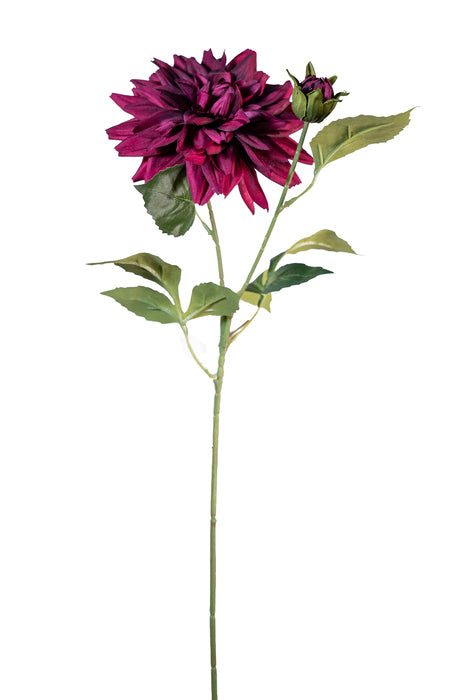Dalia Viola spray