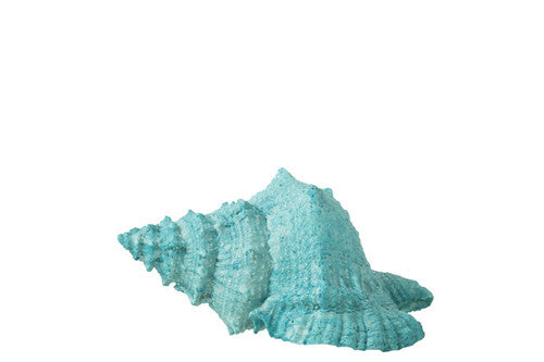 CONCHIGLIA IN RESINA AZZURRO (25x17xh.13cm)