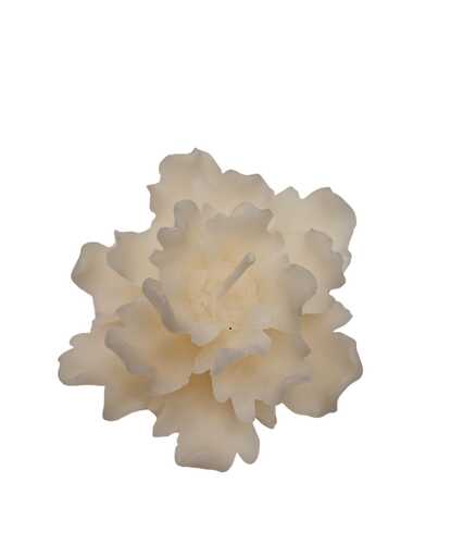 MINI DALIA AVORIO IN CERA CON SCATOLA
