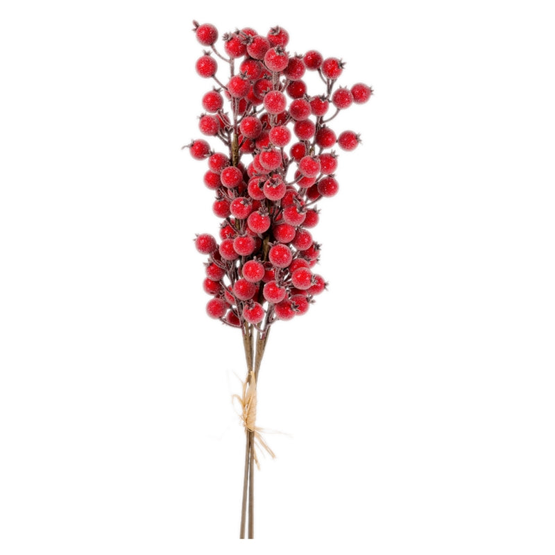 MAZZO DI RAMETTI BACCHE ROSSE