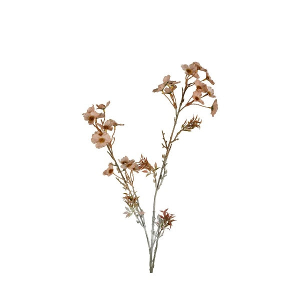 FIORE COSMO ROSA ANTICO
