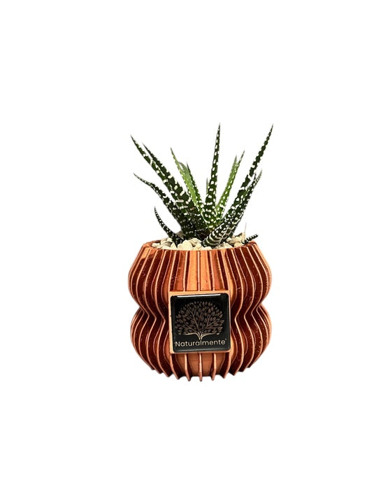 VASO PICCOLO CON PIANTA GRASSA ARANCIO METALIZZATO