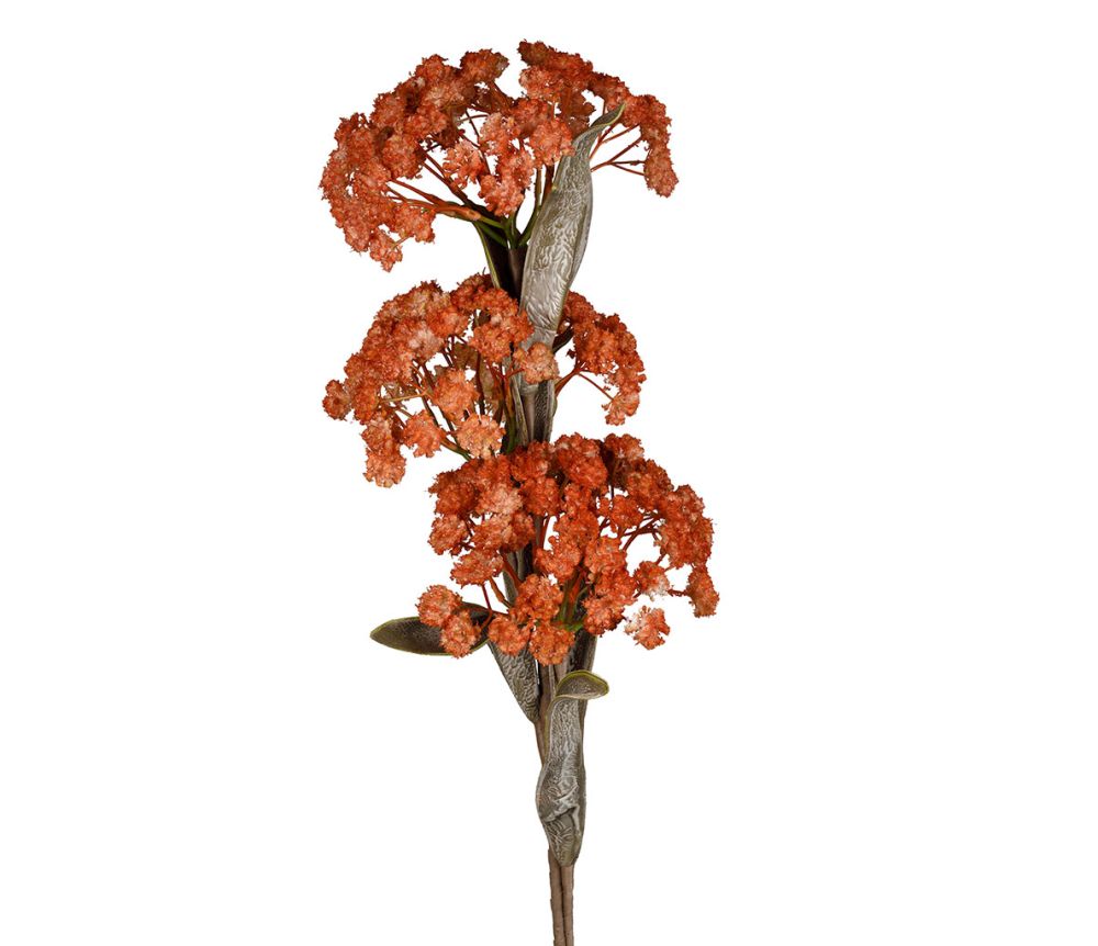 FIORE ELLA