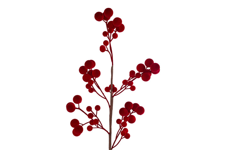 TRALCIO DI BACCHE IN VELLUTO ROSSO