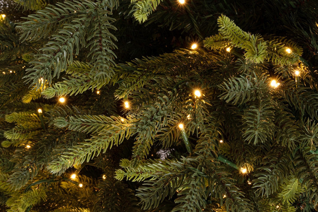 ALBERO BERKSHIRE (diam.132x210h)