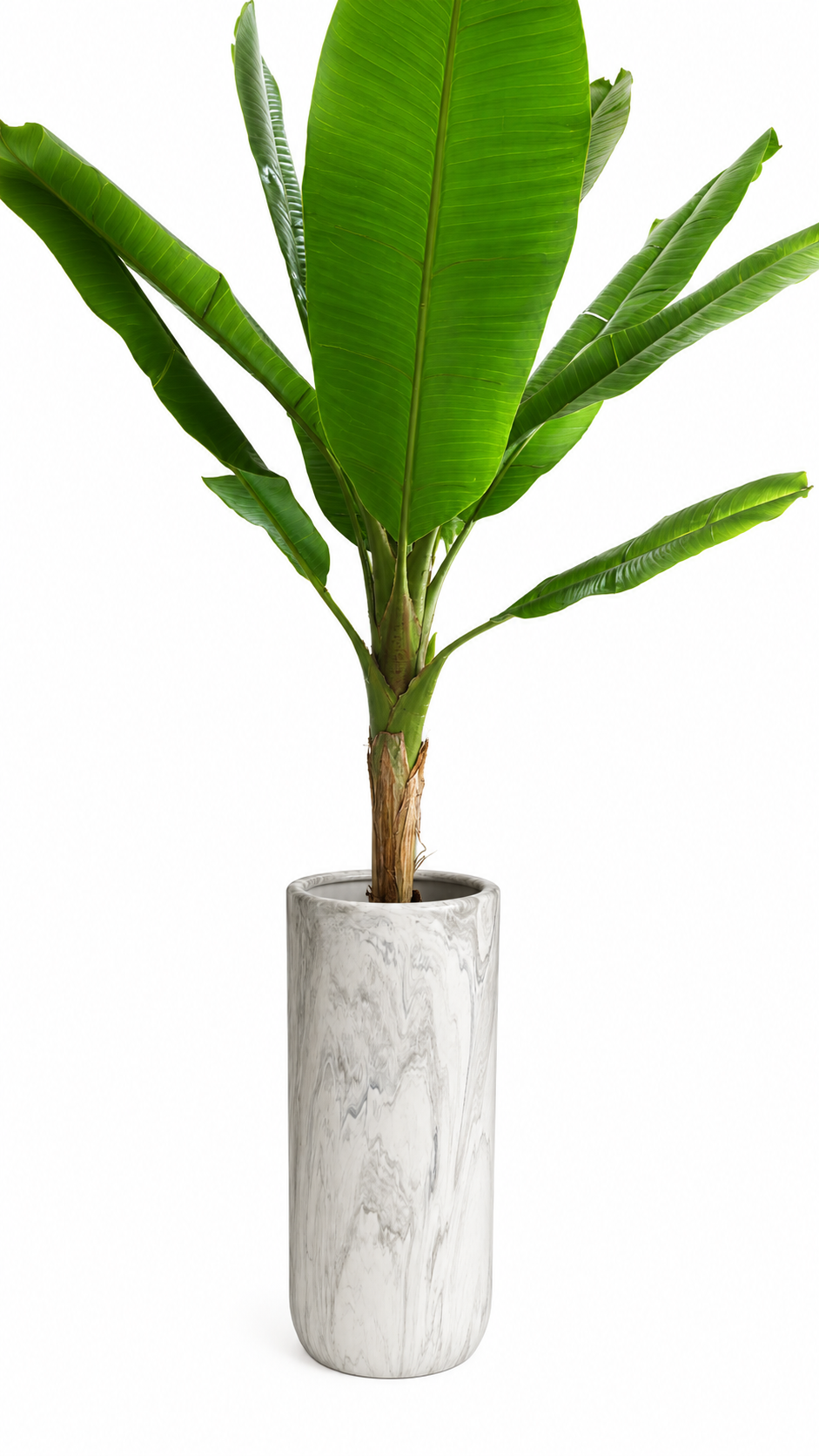 VASO DA TERRA SMALL