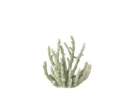 SCULTURA CORALLO MENTA MEDIUM (15x9x16cm)