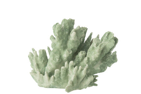 SCULTURA CORALLO MENTA LARGE