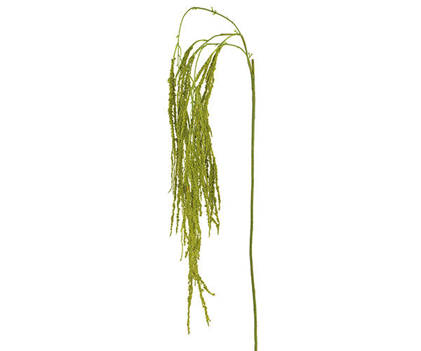 CASCATA AMARANTHUS VERDE h.17,5cm
