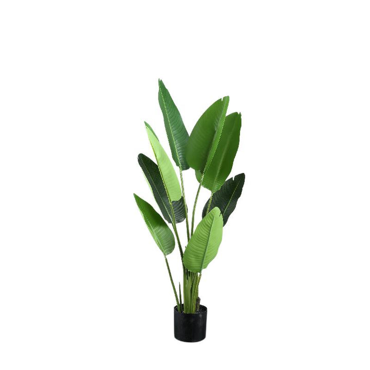 PIANTA ARTIFICIALE STRETLIZIA SMALL