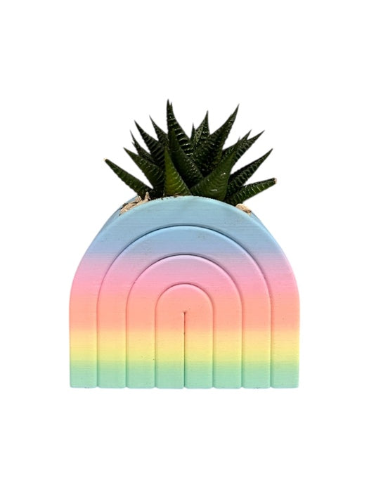 VASO ARCOBALENO CON PIANTA GRASSA IN CERAMICA MULTICOLOR