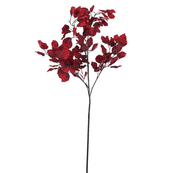 RAMO ROSSO CON FOGLIE