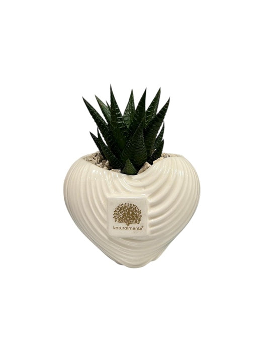 VASO CUORE MEDIO
