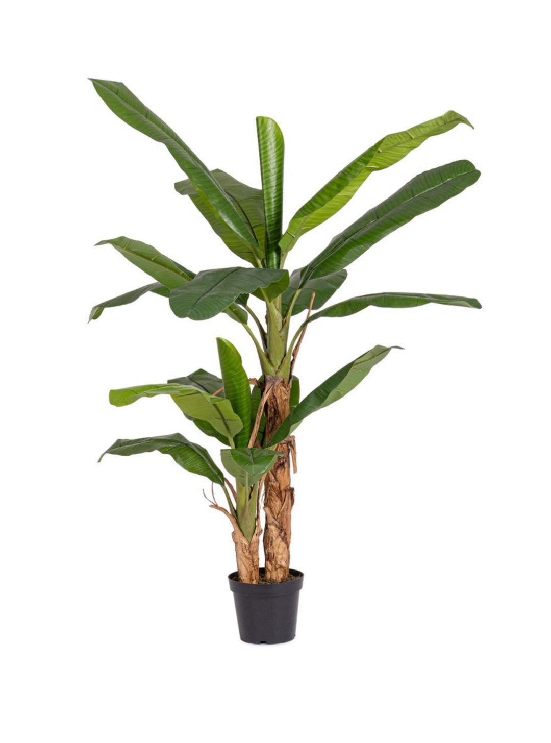 PIANTA DI BANANO ARTIFICIALE