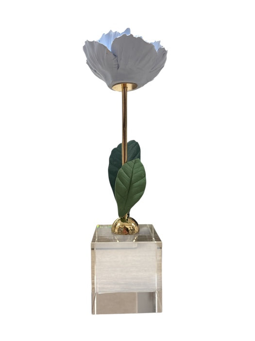 PIANTA PEONIA