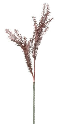 BULRUSH ROSSO CM 35X93
