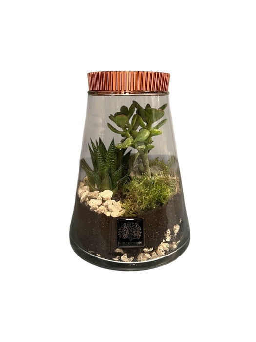 VASO IN VETRO CON PIANTE GRASSE TERRARIUM ARANCIO METALLIZZATO