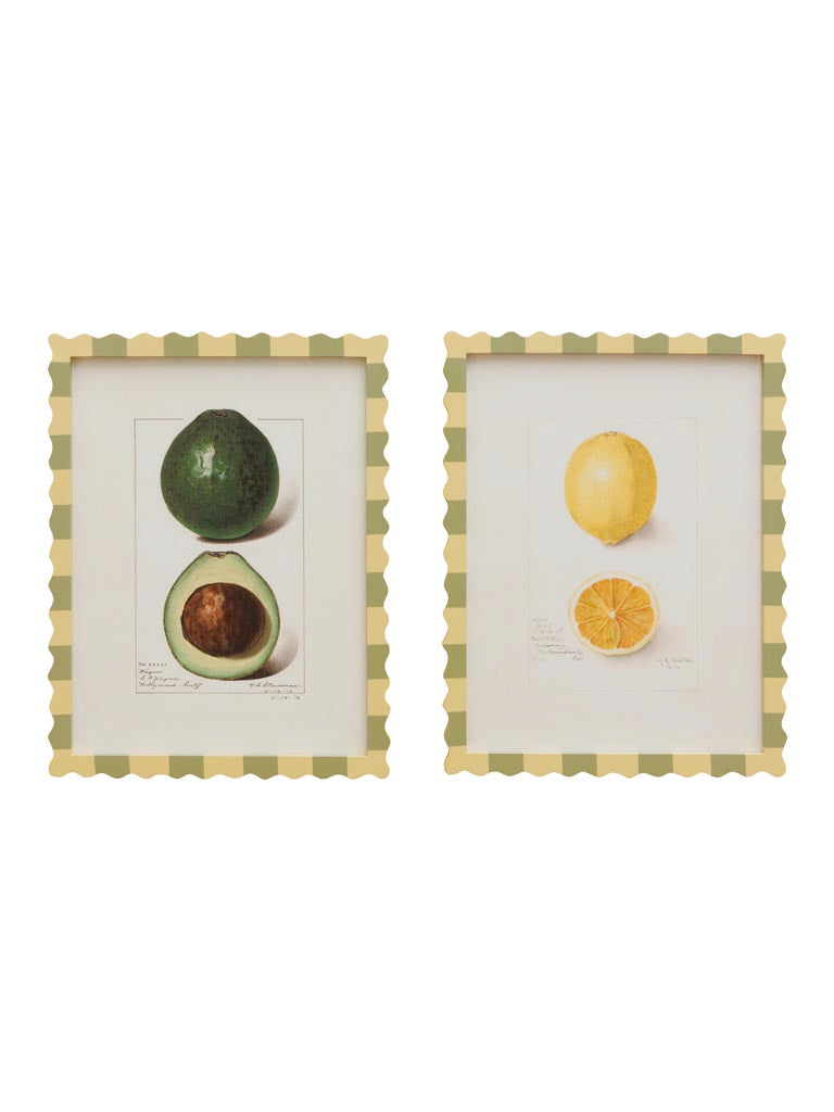 QUADRETTO LIMONE
