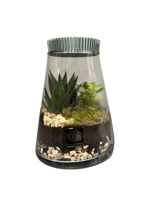 VASO IN VETRO CON PIANTE GRASSE TERRARIUM VERDE METALLIZZATO