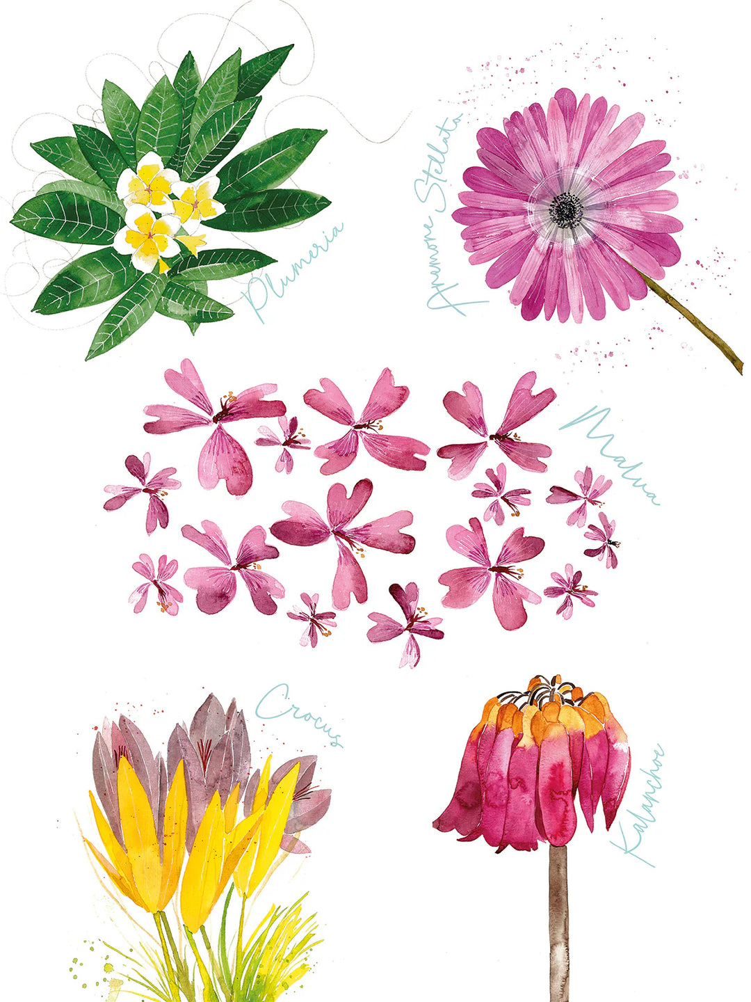 ASCIUGAPIATTI FLORA ROSA ONE