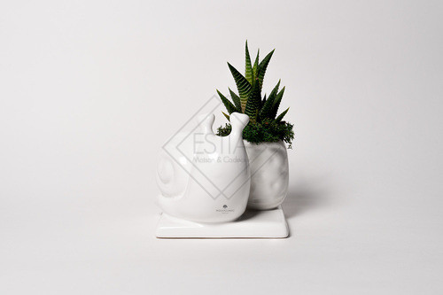 PIANTA GRASSA IN VASETTO CON LUMACA IN CERAMICA SU BASE BIANCO CON SCATOLA