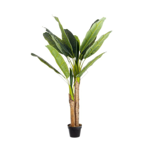 PIANTA BANANO CON 14 FOGLIE GOMMATE VERDI CON VASO (h.135cm)