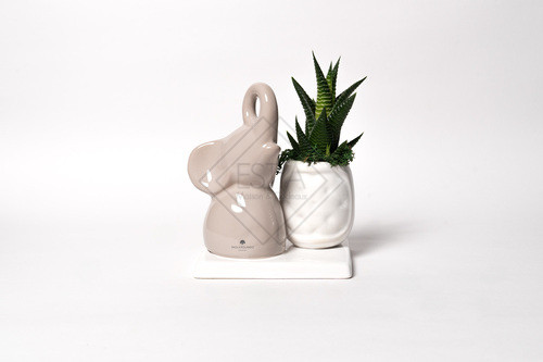 PIANTA GRASSA IN VASETTO CON ELEFANTINO IN CERAMICA SU BASE CAPPUCCINO CON SCATOLA