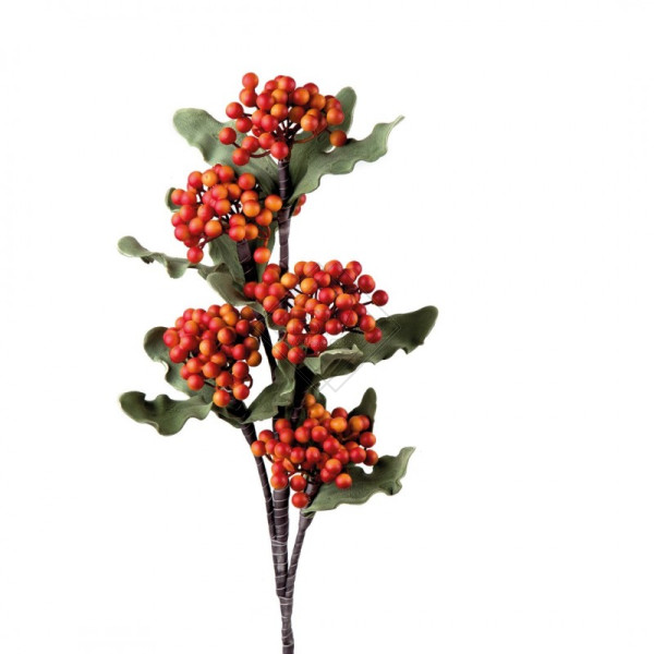 PIRACANTA ARANCIO 95CM