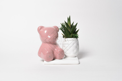 PIANTA GRASSA IN VASETTO CON ORSETTO IN CERAMICA SU BASE ROSA FONDENTE CON SCATOLA
