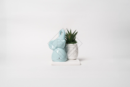PIANTA GRASSA IN VASETTO CON ELEFANTINO IN CERAMICA SU BASE TIFFANY CON SCATOLA