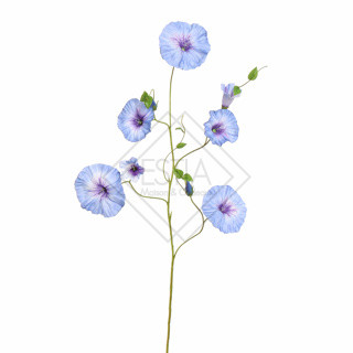RAMO CON FIORI DI CONGOA DEL MATTINO IN SETA BLU (h.107cm)